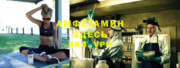 прущие крисы Вяземский