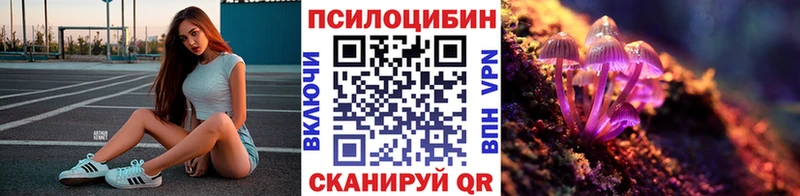 наркота  Нальчик  Галлюциногенные грибы Psilocybine cubensis 